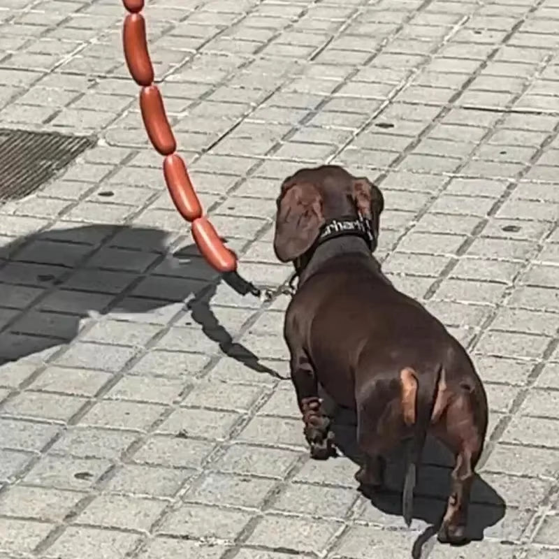 Wiener Walker – Sausage Link Dog Leash