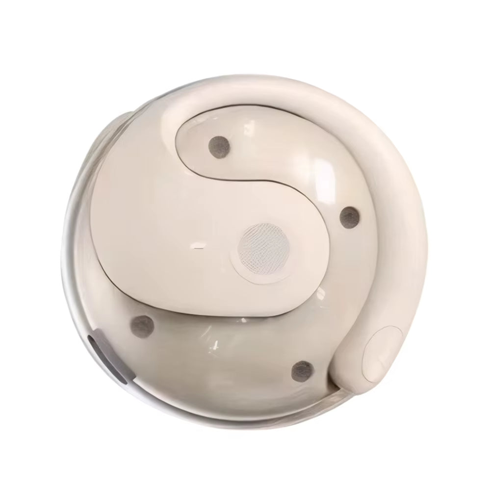 AI Bluetooth Language Translator Earphones