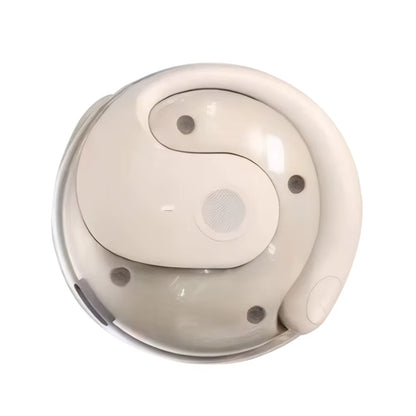 AI Bluetooth Language Translator Earphones