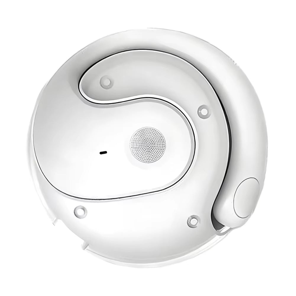AI Bluetooth Language Translator Earphones