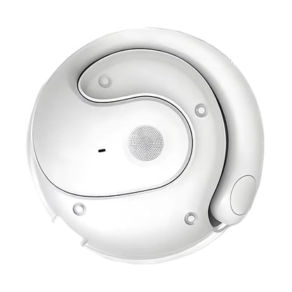AI Bluetooth Language Translator Earphones
