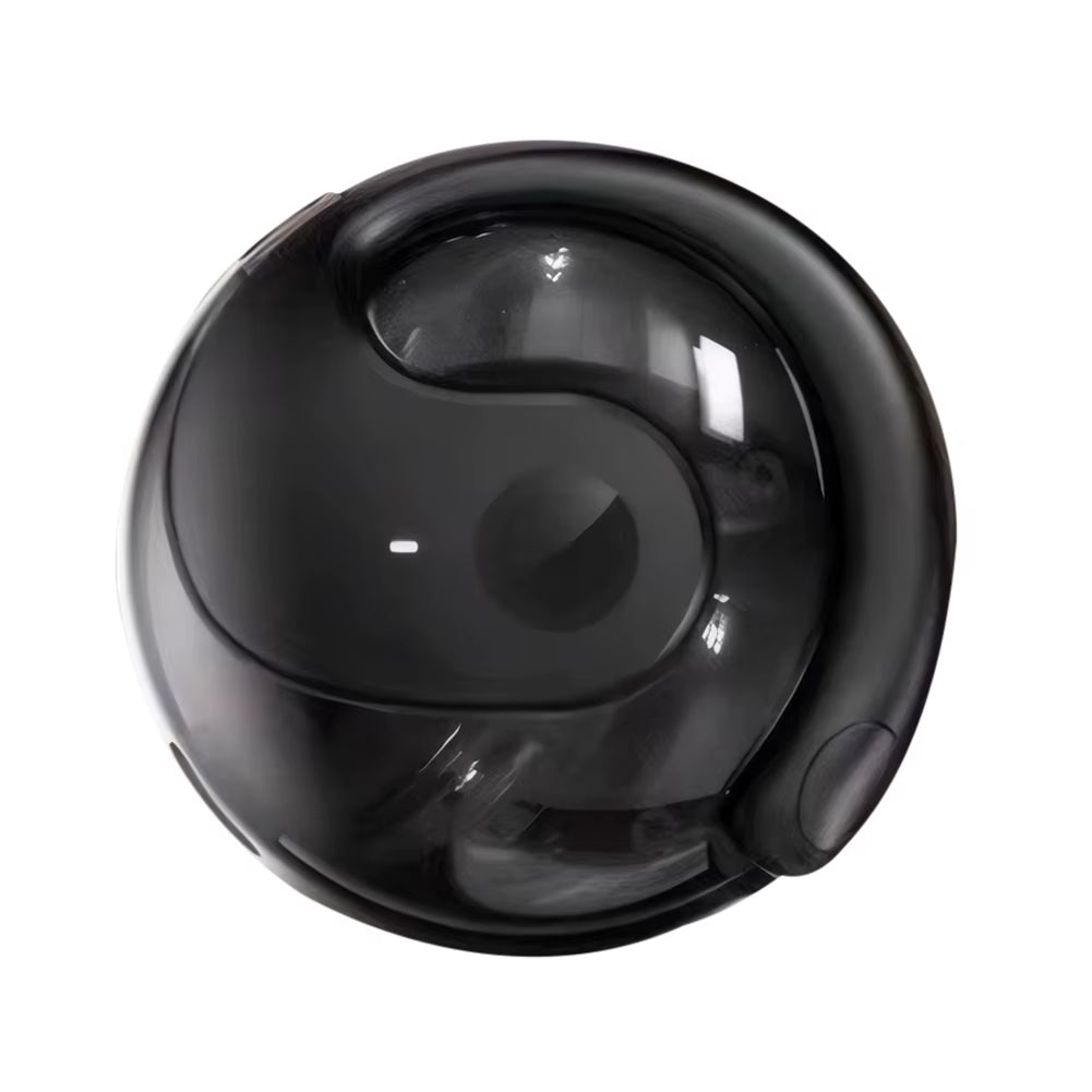 AI Bluetooth Language Translator Earphones