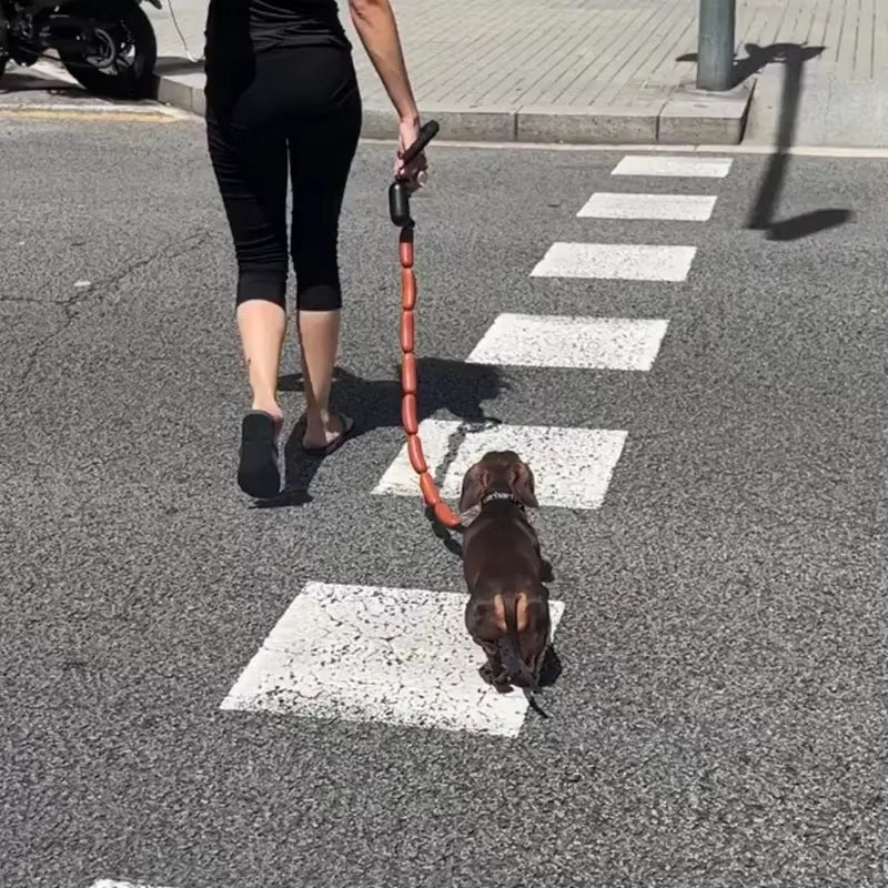 Wiener Walker – Sausage Link Dog Leash